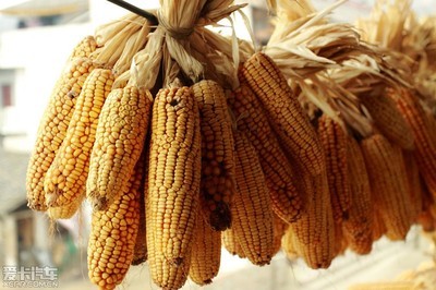 古城游记--途中记、美食篇