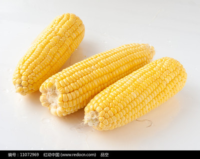 金黄馈赠 探索玉米的多元价值与健康妙用