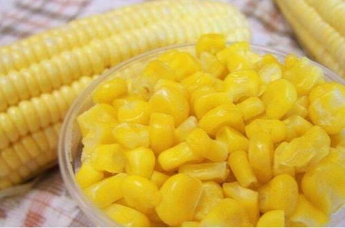 甜玉米与糯玉米，哪种更营养？冬日食玉米，选对品种更健康