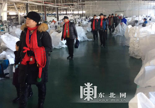 谋发展话未来 浙商考察青冈玉米工业园区，共绘产业新蓝图